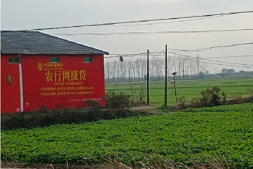 信丰如何防止墙体广告褪色呢？