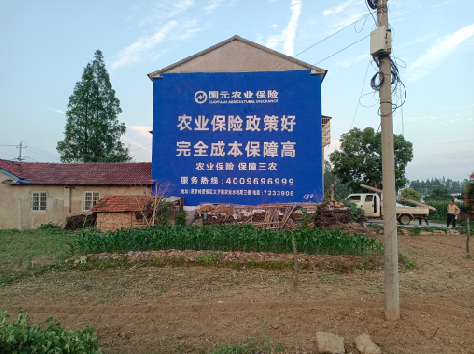 信丰墙体广告的优劣势你知道吗？